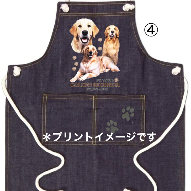 選べる大型犬E ボクサー シェパード ドーベル ゴールデンレトリバー コリー ブルテ...