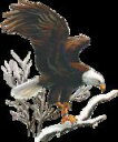 鳥 イーグル eagle 鷲 白頭鷲 (11−D) 猛禽類 トートバッグ エコバッグ マイバッグ【Lサイズ/大】かわいい おしゃれ レディース メン...