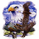 鳥 イーグル eagle 白頭鷲 鷲 (16−D) 猛禽類 トートバッグ エコバッグ マイバッグ【Lサイズ/大】かわいい おしゃれ レディース メン...