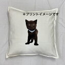 【送料無料】キャット cat クロネコ 黒猫 ブラックキャット クッション NEW【中身あり/ホワイト/ブラック】 50x50cm 大きめ ビッグサイズ 洗える かわいい おしゃれ 猫柄 ねこ 猫プリント 雑貨 猫グッズ 動物 オーナーグッズ ギフト 母の日(3)