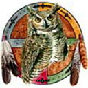 【送料無料】在庫限り!猛禽類(03-D)フクロウ 鳥 クッション【中身あり】 45x45cm 洗える かわいい おしゃれ プリント 雑貨 動物 記念品 オフ会 オーナーグッズ 父の日(3)