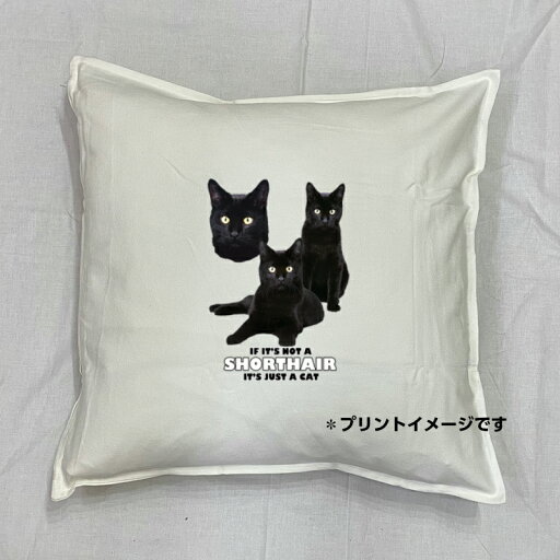 【送料無料】キャット cat ブラックキャット クッション NEW【中身あり/ホワイト/ブラック】 50x50cm 大きめ ビッグサイズ 洗える かわいい おしゃれ ペルシャ 猫柄 ネコ ねこ 猫プリント 雑貨 猫グッズ 動物 オーナーグッズ ギフト 母の日 【送料無料】キャット cat ブラックキャット クッション NEW【中身あり/ホワイト/ブラック】 50x50cm 大きめ ビッグサイズ 洗える かわいい おしゃれ ペルシャ 猫柄 ネコ ねこ 猫プリント 雑貨 猫グッズ 動物 オーナーグッズ ギフト 母の日