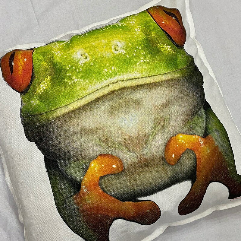 【送料無料】カエル 蛙 クッション NEW【中身あり/ホワイト/ブラック】 50x50cm 大きめ ビッグサイズ 洗える かわいい おしゃれ 動物柄 ペット 雑貨 アニマルグッズ 動物プリント 動物 オーナーグッズ [2]