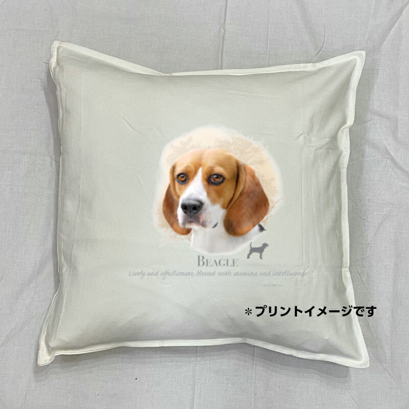 楽天犬と動物　トラストワンポイント【送料無料】ビーグル クッション NEW【中身あり/ホワイト】 50x50cm 大きめ ビッグサイズ ビッグフェイス 洗える かわいい おしゃれ dog 犬柄 いぬ 犬プリント 雑貨 犬グッズ 犬プリント 動物 オーナーグッズ