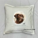【送料無料】ラブラドールレトリバー レトリーバー チョコレートラブ クッション NEW【中身あり/ホワイト】 50x50cm 大きめ ビッグサイズ ビッグフェイス 洗える かわいい おしゃれ dog 犬柄 いぬ 犬プリント 雑貨 犬グッズ 犬プリント 動物 オーナーグッズ(3)
