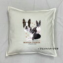 【送料無料】ボストンテリア クッション NEW【中身あり/ホワイト/ブラック】 50x50cm 大きめ ビッグサイズ 洗える かわいい おしゃれ 犬柄 いぬ d...