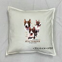 【送料無料】ブルテリア クッション NEW【中身あり/ホワイト/ブラック】 50x50cm 大きめ ビッグサイズ 洗える かわいい おしゃれ 犬柄 いぬ dog ドッグ 犬プリント 雑貨 犬グッズ 犬プリント 動物 オーナーグッズ プレゼント 父の日(3)