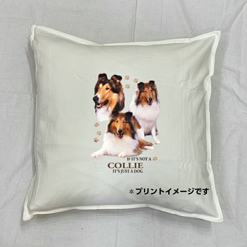 樂天商城 - 【送料無料】コリー クッション NEW【中身あり/ホワイト/ブラック】 50x50cm 大きめ ビッグサイズ 洗える かわいい おしゃれ 犬柄 いぬ dog ドッグ 犬プリント 雑貨 犬グッズ 犬プリント 動物 オーナーグッズ プレゼント