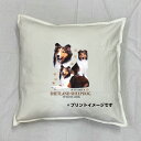 【送料無料】シェットランドシープドッグ シェルティー クッション NEW【中身あり/ホワイト/ブラック】 50x50cm 大きめ ビッグサイズ 洗える かわいい...