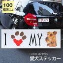 【在庫限り】ステッカー ウエルッシュテリア 犬 防水 外張りステッカー アイラブ【I LOVEシリーズ】 バンパーステッカー スーツケースシール シール カーステッカー 車 バイク ドッグ いぬ かっこいい 可愛い犬 グッズ 雑貨 輸入ステッカー 海外デザイン ひな祭り