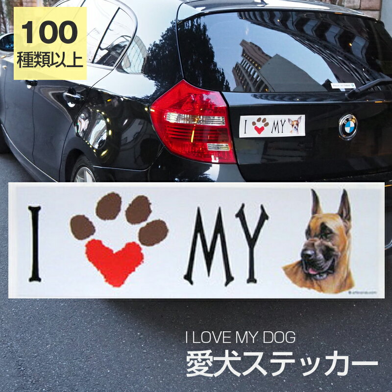 ں߸˸¤ۥƥå 졼ȥǡʥե  ɿ ĥꥹƥå ֡I LOVE꡼ Хѡƥå ...