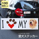 【在庫限り】ステッカー ゴールデンドゥードル 犬 防水 外張りステッカー アイラブ【I LOVEシリーズ】 バンパーステッカー スーツケースシール シール カーステッカー 車 バイク ドッグ いぬ かっこいい 可愛い犬 グッズ 雑貨 輸入ステッカー 海外デザイン