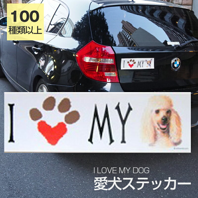 ں߸˸¤ۥƥå סɥʥϥˡ  ɿ ĥꥹƥå ֡I LOVE꡼ Хѡƥå ĥ...