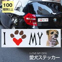 【在庫限り】ステッカー ボーダーテリア 犬 防水 外張りステッカー アイラブ【I LOVEシリーズ】 バンパーステッカー スーツケースシール シール カーステッカー 車 バイク ドッグ いぬ かっこいい 可愛い犬 グッズ 雑貨 輸入ステッカー 海外デザイン