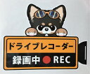 犬 チワワ ロングヘアー ブラックタン ブラタンドライブレコーダー録画中 犬種別 外張りステッカー(チワワ1)ドラレコ ステッカー ドッグ イヌ いぬ 車 オー...