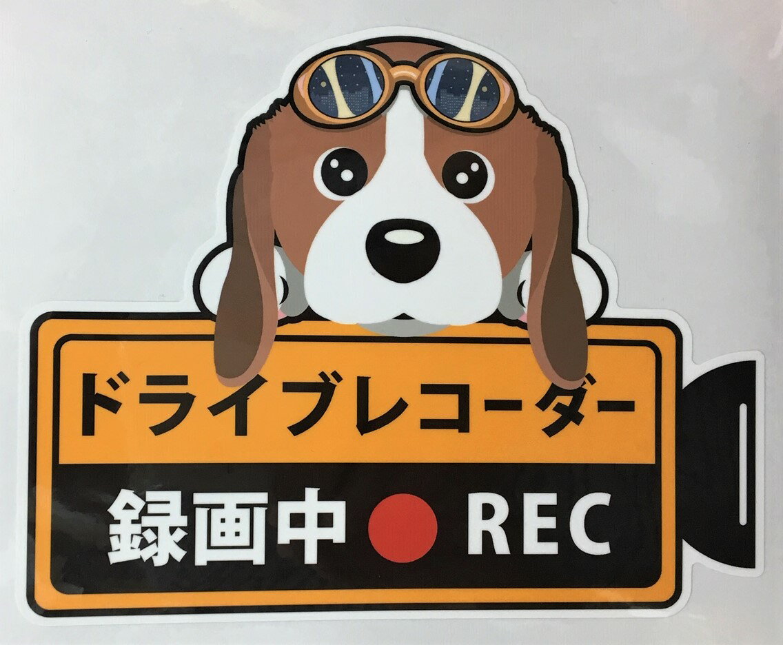 犬 ビーグル ドライブレコーダー録画中 犬種別 外張りステッカー（ビーグル1）ドラレコ ステッカー  ...