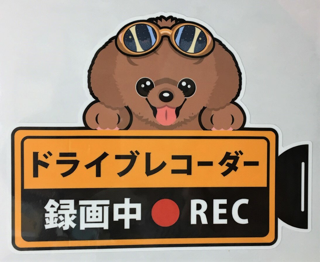 犬 プードル レッド ドライブレコーダー録画中 犬種別 外張りステッカードラレコ ステッカー ドッグ い..