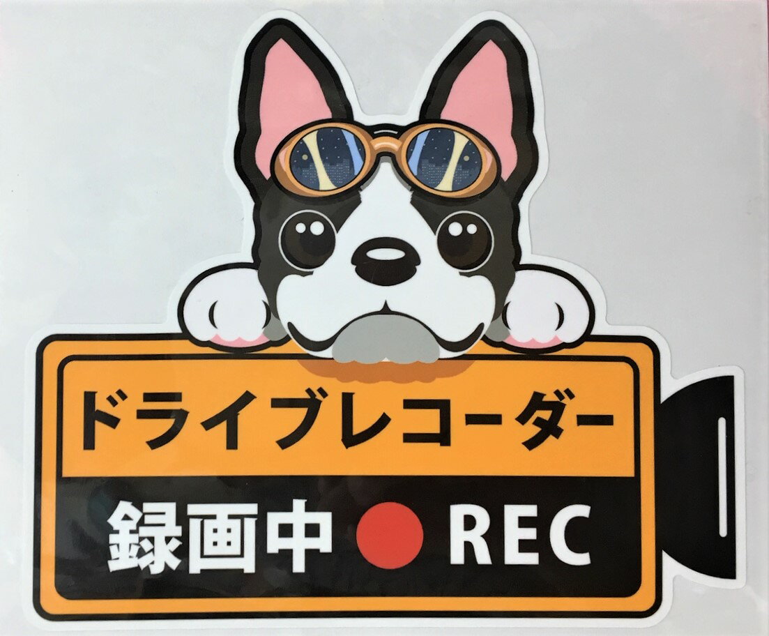 【期間限定ポイント2倍】犬 ドライブレコーダー録画中 犬種別 外張りステッカー（ボストンテリア1）ドラレコ ステッカー ドッグ イヌ いぬ 車 オーナーグッズ あおり運転 迷惑防止 ボストン【メール送料無料】 父の日