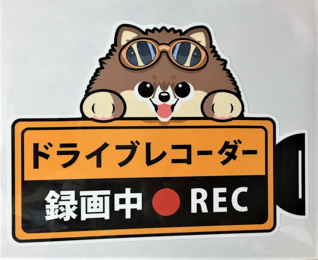 ドライブレコーダー録画中 犬種別外張りステッカー（ポメラニアン1）ドラレコ ステッカー ドッグ 犬 いぬ イヌ 車 オーナーグッズ あおり運転 迷惑防止 ポメ