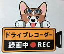 犬 コーギー ドライブレコーダー録画中 犬種別 外張りステッカー(コーギー1)ドラレコ ステッカー ドッグ いぬ 車 オーナーズグッズ あおり運転 迷惑防止 雑...