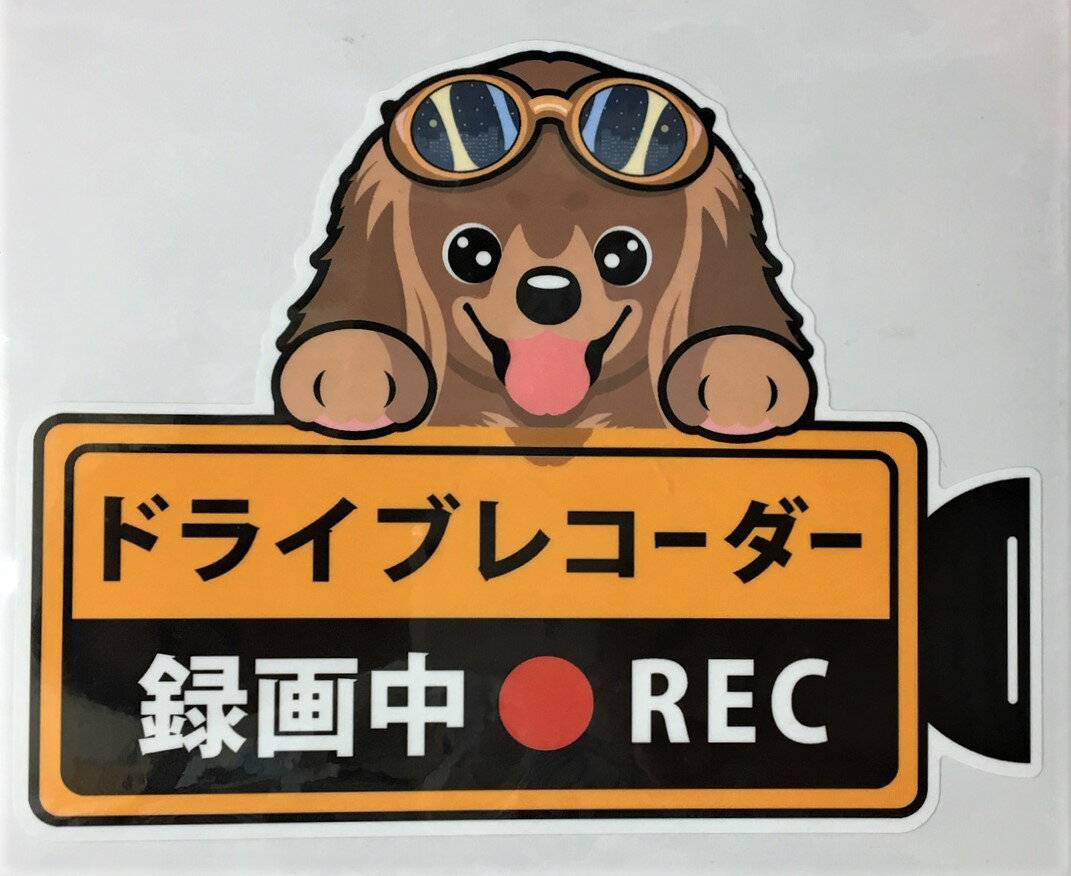 犬 ダックスフンド ダックスフント ドライブレコーダー録画中 犬種別 外張りステッカー（ダックスフント1）ドラレコ ステッカー ドッグ 犬 いぬ 車 オーナーズグッズ あおり運転 迷惑防止 雑貨 犬種別 プレゼント ギフト 犬プリント