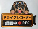 犬 ダックスフント ダックスフンド ドライブレコーダー録画中 犬種別外張りステッカー ブラックタン ドラレコ ステッカー ドッグ いぬ イヌ 車 オーナーズグッズ あおり運転 迷惑防止 雑貨 犬種別 プレゼント ギフト 犬プリント【メール送料無料】