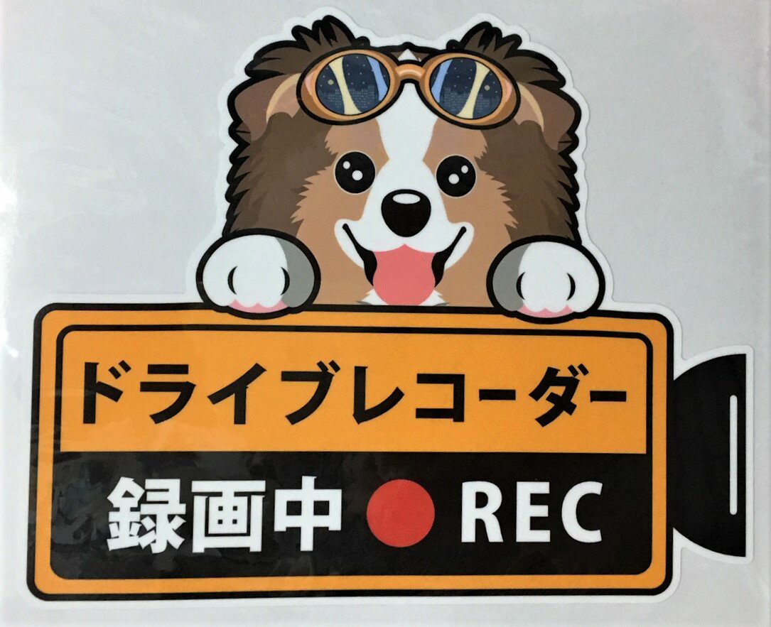 ドライブレコーダー録画中・犬種別外張りステッカー（シェットランドシープドッグ1）ドラレコ ステッカー ドッグ 犬 イヌ いぬ 車 オーナーズグッズ あおり運転 迷惑防止 雑貨 犬種別　プレゼント ギフト 犬プリント