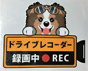 犬種別、外張りタイプの、ドライブレコーダー録画中ステッカーです。防水（塩ビ製）、屋外耐光性仕様、柔軟な素材ですので、曲面にも張りやすい。＜サイズ＞約160mm（巾）×約130mm（高さ）＊近年のストレス社会で、煽り運転、嫌がらせ運転等が増えています。ドライブレコーダー録画中を表示するだけで、リスクがかなり回避できるそうです。しかも、こんなかわいいドラレコステッカーを目にしたら、思わずホッコリ、ストレスもどっかにすっ飛んじゃいますね。実際に、ドライブレコーダーを設置していなくても、効果バツグンなので、是非お試しください！！＊これから犬種もドンドン増やしていく予定ですので、欲しい犬種がありましたら、ご遠慮なくお申し付けくださいませ。＊在庫切れの場合、製作に14日位かかります。＊作成終了後、3〜5日位で出荷予定になりますが、ご了承くださいませ。※複数ご購入の場合、送料が個数分加算されますが注文後に1個分の送料に訂正いたしますのでご安心下さいませ。シェットランドシープドッグ一覧はこちらから