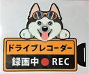 犬 シベリアンハスキー ドライブレコーダー録画中 犬種別 外張りステッカー(シベリアンハスキー1)ドラレコ ステッカー ドッグ 犬 いぬ イヌ 車 オーナーズグ...