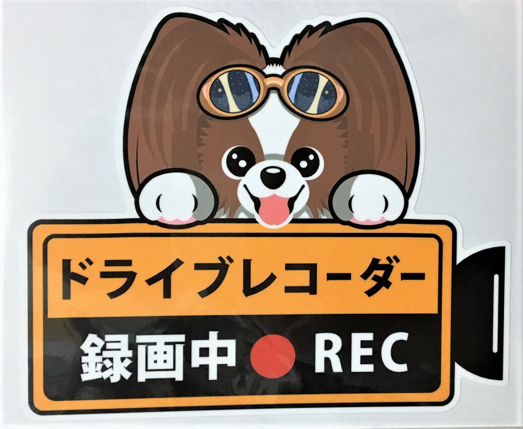 犬 パピヨン ドライブレコーダー録画中 犬種別外張りステッカー（パピヨン1）ドラレコ ステッカー ドッグ いぬ イヌ 車 オーナーズグッズ あおり運転 迷惑防止 雑貨 犬種別 プレゼント ギフト 犬プリント【メール送料無料】 父の日