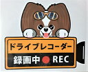犬 パピヨン ドライブレコーダー録画中 犬種別外張りステッカー(パピヨン1)ドラレコ ステッカー ドッグ いぬ イヌ 車 オーナーズグッズ あおり運転 迷惑防止...