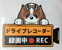 犬 キャバリア ドライブレコーダー録画中 犬種別 外張りステッカー ドラレコ ステッカー ドッグ イヌ いぬ 車 オーナーズグッズ あおり運転 迷惑防止 雑貨【...