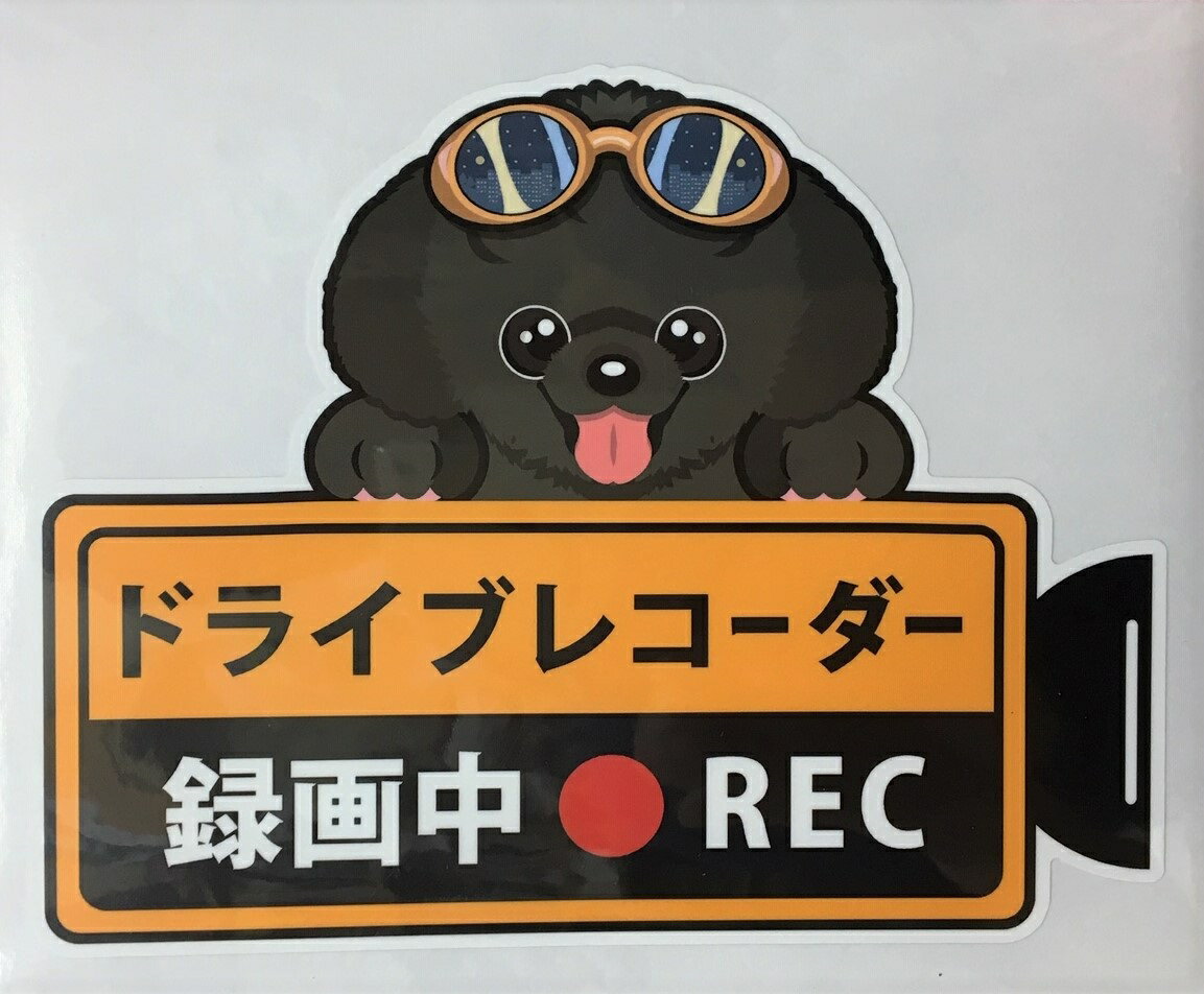 【期間限定ポイント2倍】犬 プードル ドライブレコーダー録画中 犬種別 外張りステッカー（プードル ブラック）ドラレコ ステッカー ドッグ イヌ いぬ 車 オーナーズグッズ あおり運転 迷惑防止 プードル ベアカット 犬雑貨【メール送料無料】 父の日