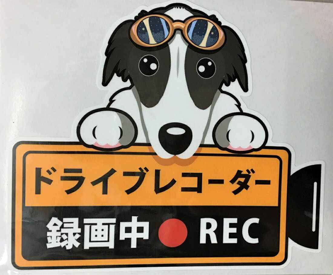 犬 ボルゾイ ドライブレコーダー録画中・犬種別外張りステッカー（ボルゾイ）ドラレコ ステッカー ドッグ いぬ イヌ 車 オーナーズグッズ あおり運転 迷惑防止 雑貨 犬種別 プレゼント ギフト 犬プリント【メール送料無料】 父の日