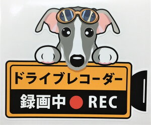 犬 イタグレ イタリアングレイハウンド ドライブレコーダー録画中 犬種 外張りステッカー（イタリアン...