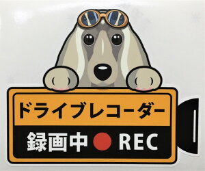 ドライブレコーダー録画中 犬種別外張りステッカー（アフガンハウンド）ドラレコ ステッカー ドッグ 犬...