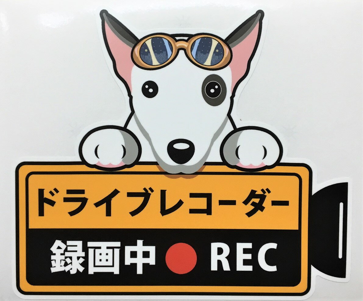 【期間限定ポイント2倍】犬 ブルテリア ドライブレコーダー録画中 犬種別 外張りステッカー ドラレコ ステッカー ドッグ いぬ 車 オーナーズグッズ あおり運転 迷惑防止 雑貨 犬種別 プレゼント ギフト 犬プリント【メール送料無料】 父の日