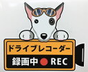 犬 ブルテリア ドライブレコーダー録画中 犬種別 外張りステッカー ドラレコ ステッカー ドッグ いぬ 車 オーナーズグッズ あおり運転 迷惑防止 雑貨 犬種別...