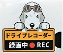 犬 べドリントンテリア ドライブレコーダー録画中 犬種別 外張りステッカー ドラレコ ステッカー ドッグ いぬ 車 オーナーズグッズ あおり運転 迷惑防止 雑貨...