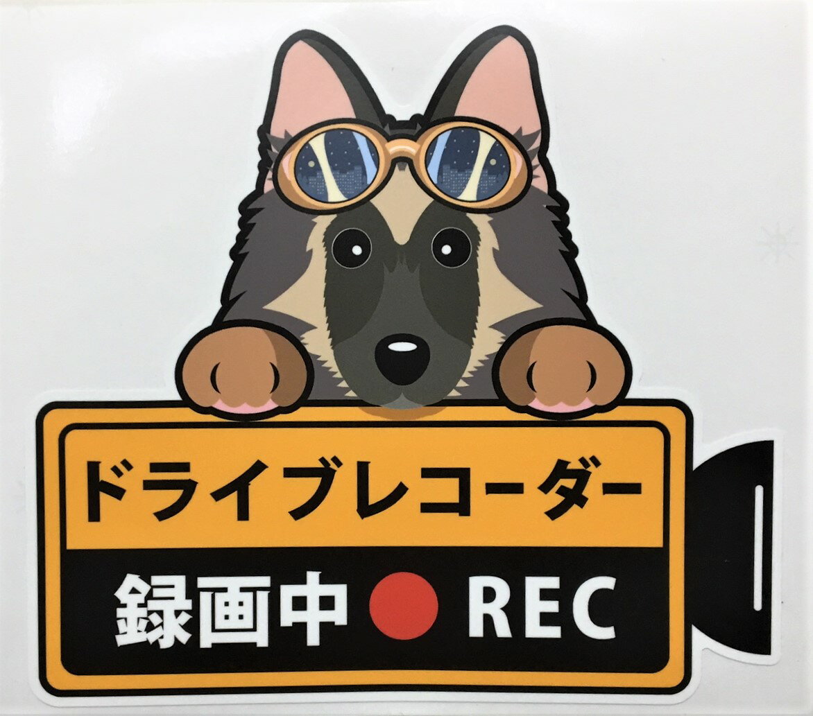 犬 ドライブレコーダー録画中 犬種 外張りステッカー ベルジアンシェパード ベルジアンタービュレン ドラレコ ステッカー タービュレン ドッグ いぬ 車 オーナーズグッズ あおり運転 迷惑防止 雑貨 犬プリント【メール送料無料】 父の日