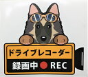 犬 ドライブレコーダー録画中 犬種 外張りステッカー ベルジアンシェパード ベルジアンタービュレン ドラレコ ステッカー タービュレン ドッグ いぬ 車 オーナーズグッズ あおり運転 迷惑防止 雑貨 犬プリント【メール送料無料】