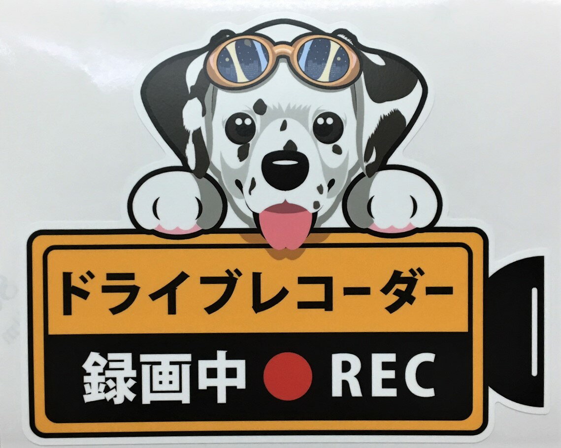 【期間限定ポイント2倍】犬 ダルメシアン ドライブレコーダー録画中 犬種別外 張りステッカー ドラレコ ステッカー ドッグ 犬プリント いぬ 車 ペット かわいい オーナーズグッズ 迷惑防止 雑貨 犬種別 プレゼント ギフト【メール送料無料】 父の日