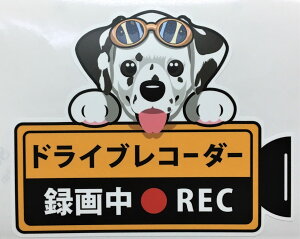 犬 ダルメシアン ドライブレコーダー録画中 犬種別外 張りステッカー ドラレコ ステッカー ドッグ ...