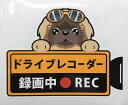 犬 ペキニーズ ドライブレコーダー録画中 犬種 外張りステッカー ドラレコ ステッカー ドッグ イヌ いぬ 車 オーナーズグッズ あおり運転 迷惑防止 雑貨 外...