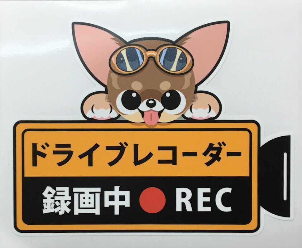 REC 犬 チワワ ドライブレコーダー録画中 犬種 外張りステッカー スムース ドラレコステッカー カーステッカー 車 ドッグ いぬ オーナ..