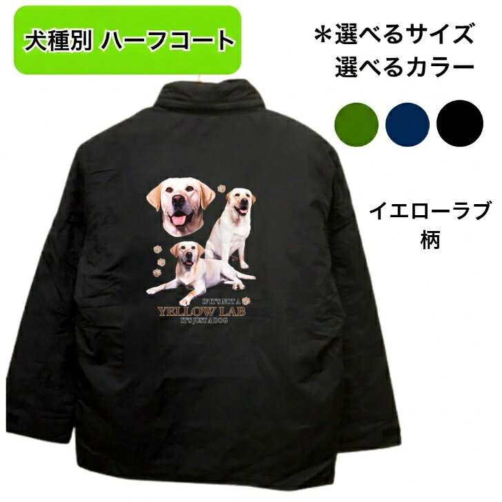 �ϡ��ե����� �������� ��֥�ɡ����ȥ꡼�С� ��ȥ�С� ����������� �ա����դ� ���� �ɥå� �����ʡ����å� ���ץ��� ���ե� ������ ���ղ� ��ǰ��...