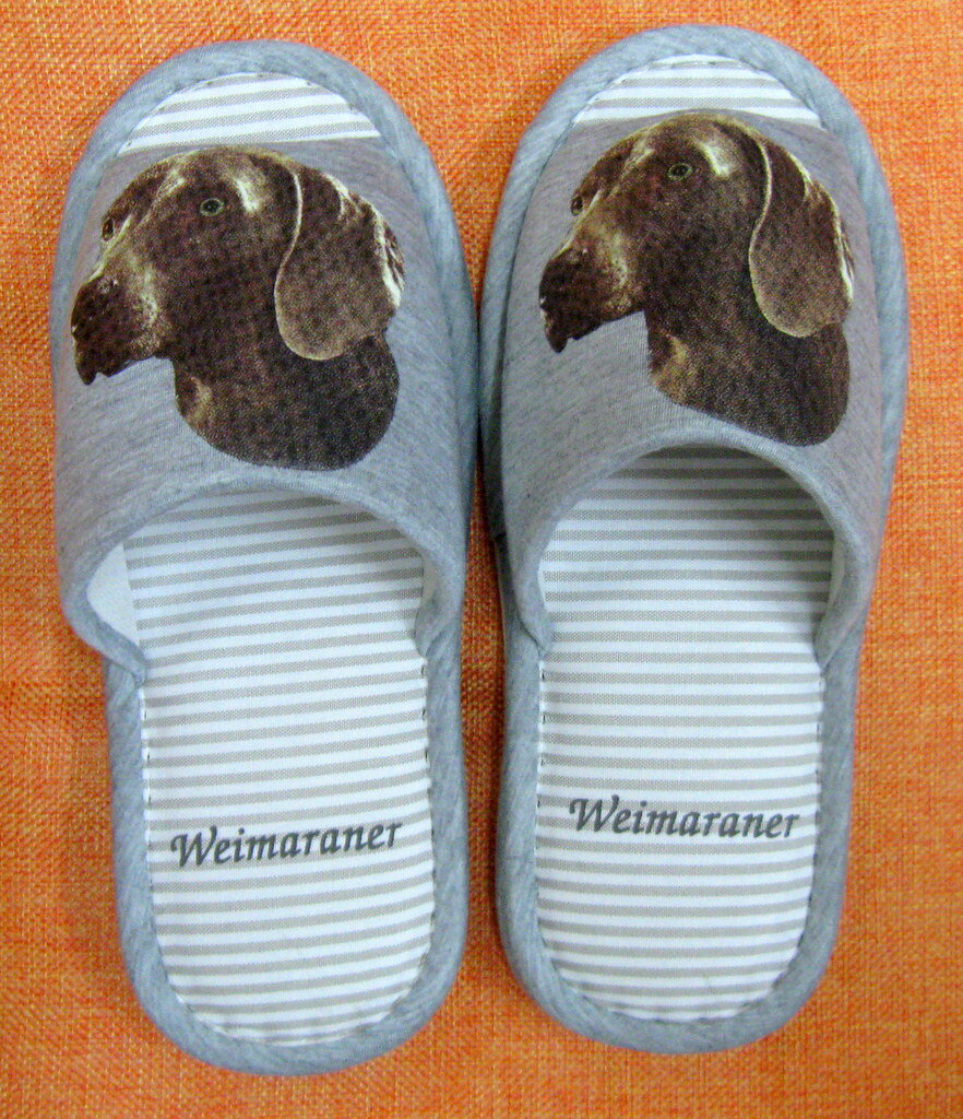 ワイマラナー(H) スリッパ 洗える 【大人用22〜26cm】男女兼用 グレー ストライプ 丸洗い ウォッシャブル ルームシューズ かわいい おしゃれ 来客用 ...