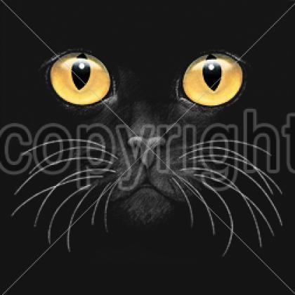 キャット （アンバー）ネコ 猫 スウェット トレーナー ラウンドネック 長袖 レディース メンズ ユニセ..