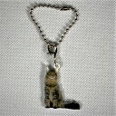 ねこ cat メインクーン【キーホルダー チャーム 】ネコグッズ バッグチェーン マスクチャーム アクリル 猫 キャット キトン CAT 猫種別 ネコ雑貨 オー...