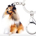 【メール便送料無料】キーホルダー シェットランドシープドッグ シェルティーグッズ アクリル 犬 いぬ イヌ dog 犬種別 犬雑貨 オーナーグッズ かわいい 輸入 キーチェーン プリント 父の日(4)